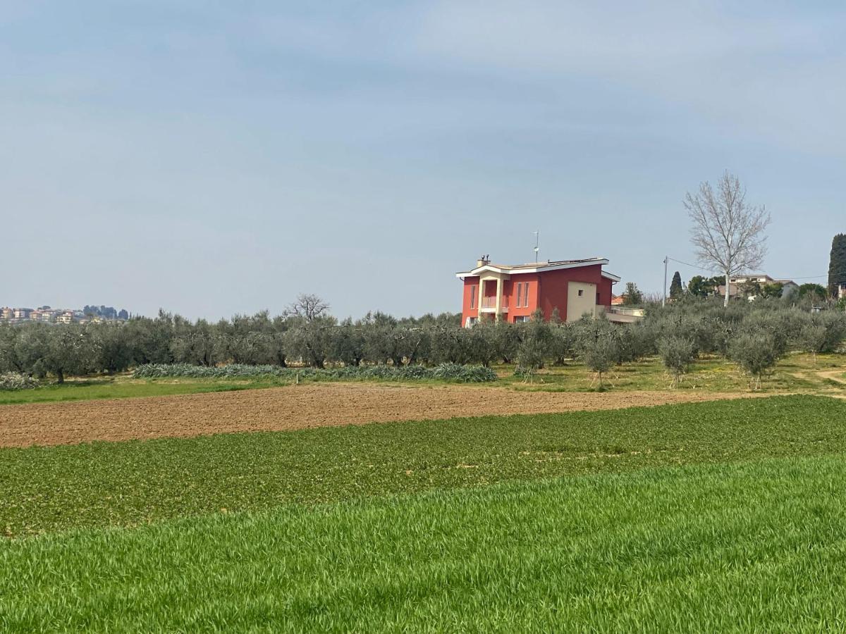Olea B&B Montecosaro  Kültér fotó