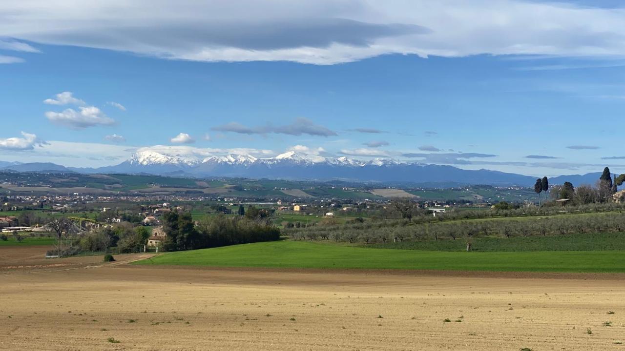 Olea B&B Montecosaro  Kültér fotó