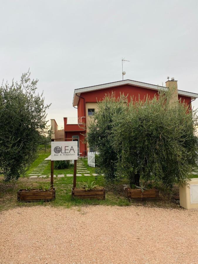 Olea B&B Montecosaro  Kültér fotó