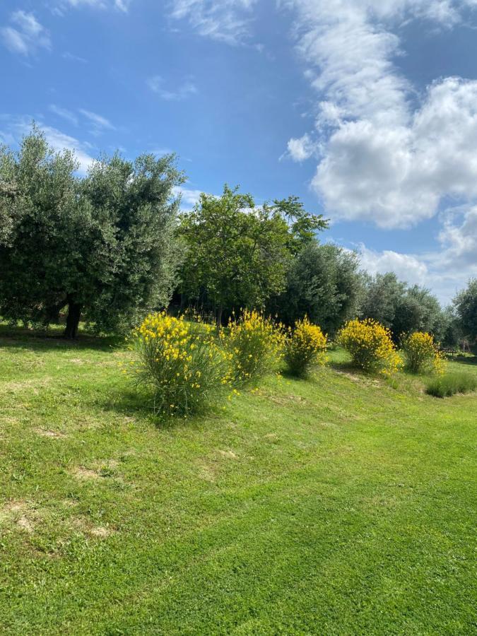 Olea B&B Montecosaro  Kültér fotó